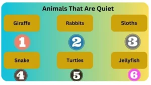 Animals that are quiet